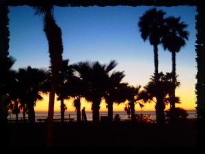 Santa Monica Beach1
